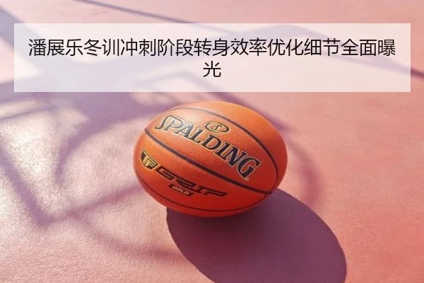 潘展乐冬训冲刺阶段转身效率优化细节全面曝光